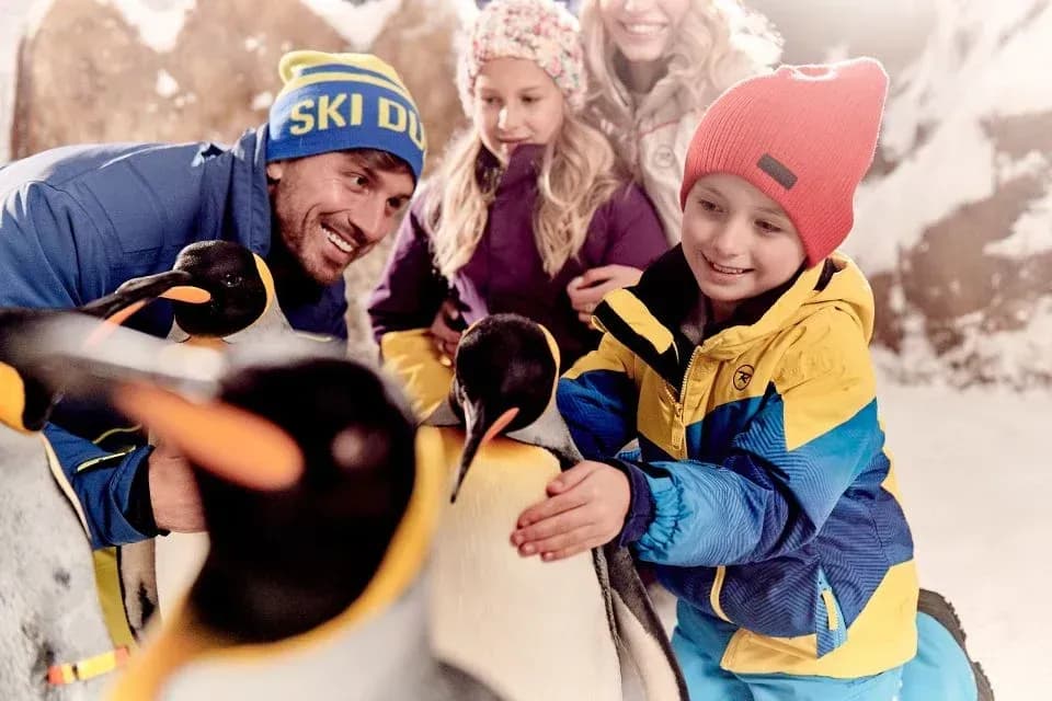 Ski Dubai - Image 6