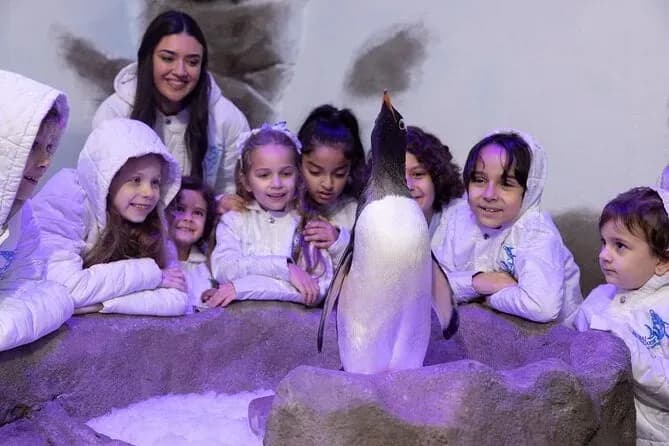 Dubai Aquarium & Underwater Zoo – Penguin Cove & Nursery Experience - Image 6
