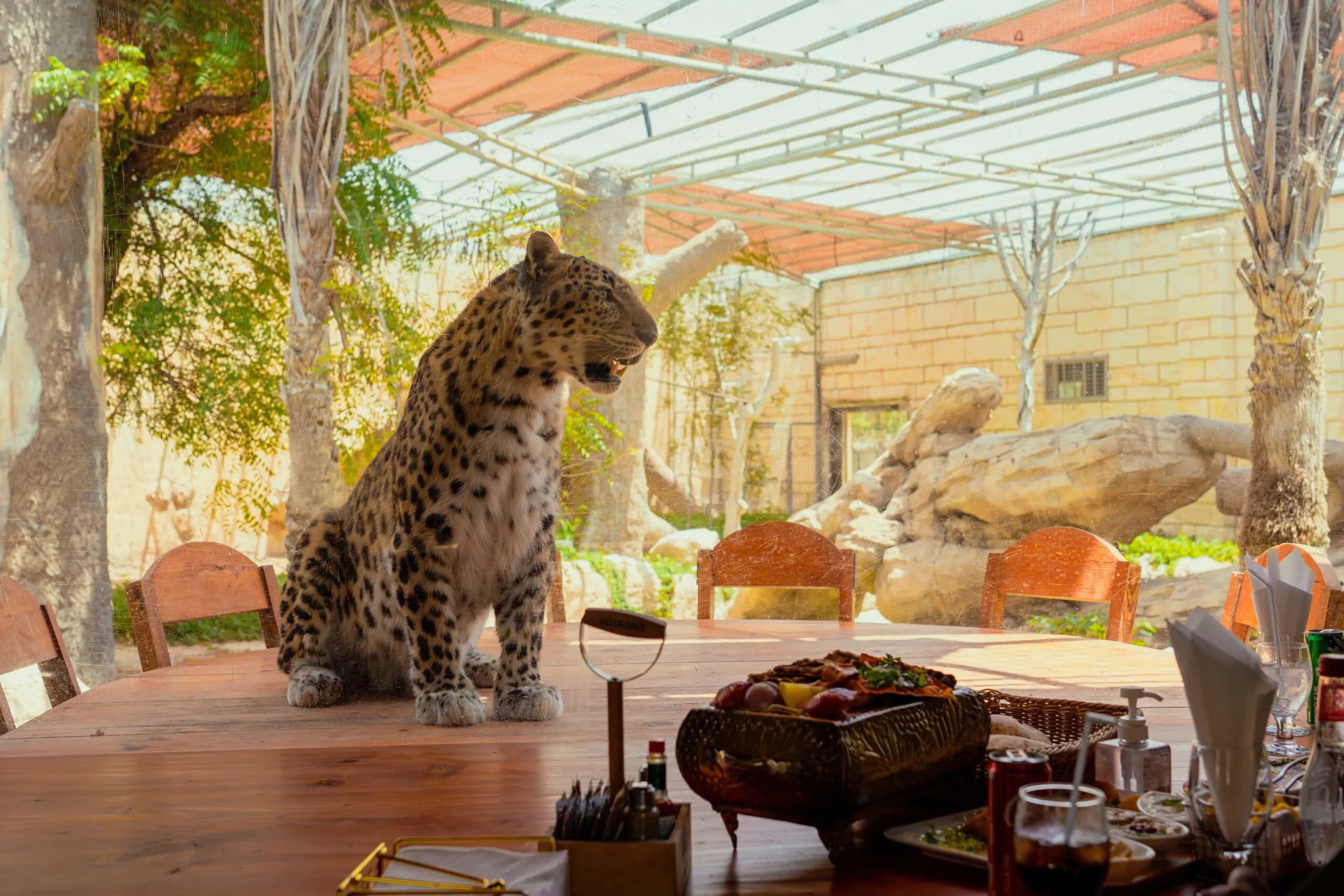 Emirates Park Zoo - Image 3