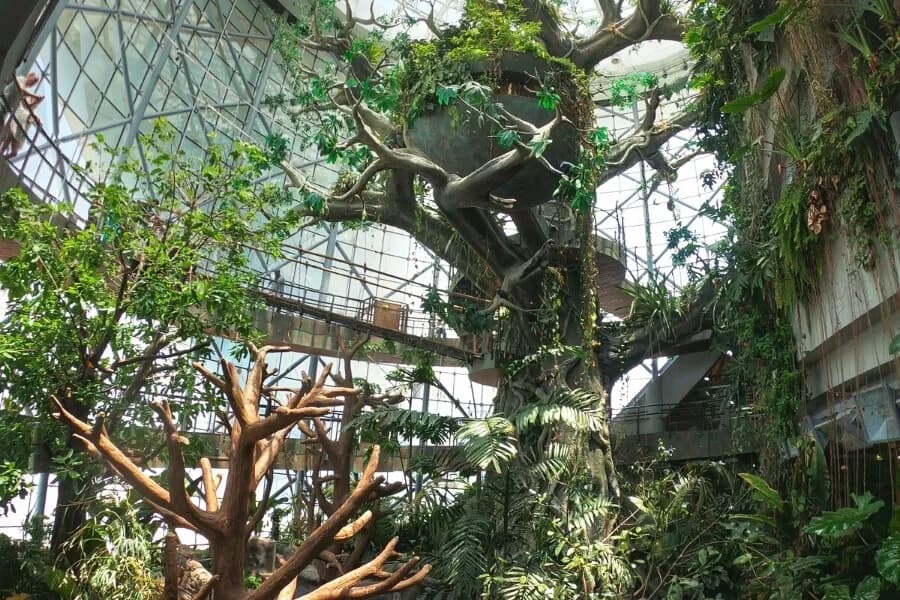The Green Planet Dubai - Image 6