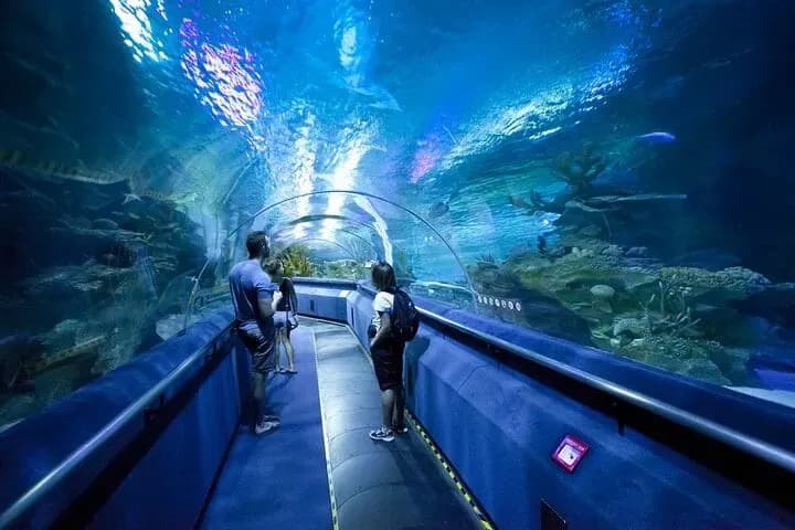 Dubai Aquarium & Underwater Zoo – Penguin Cove & Nursery Experience - Image 2