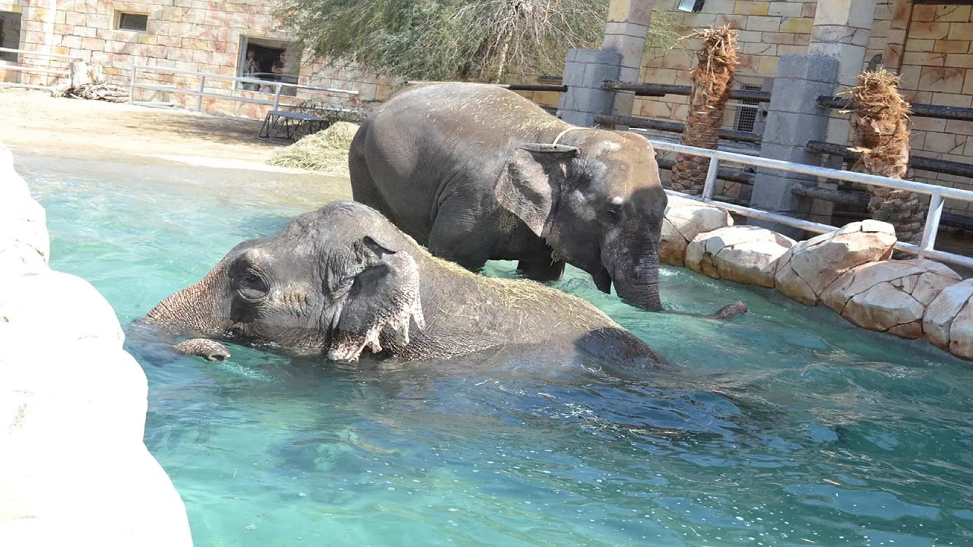 Emirates Park Zoo - Image 5