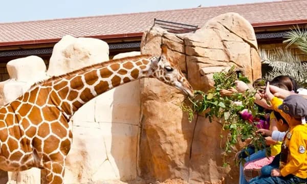 Emirates Park Zoo - Image 6