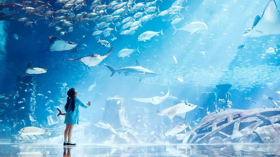 Lost Chambers Aquarium - Image 1